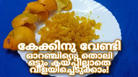 Zest Meaning in Malayalam : Zest in Malayalam : Malayalam .
